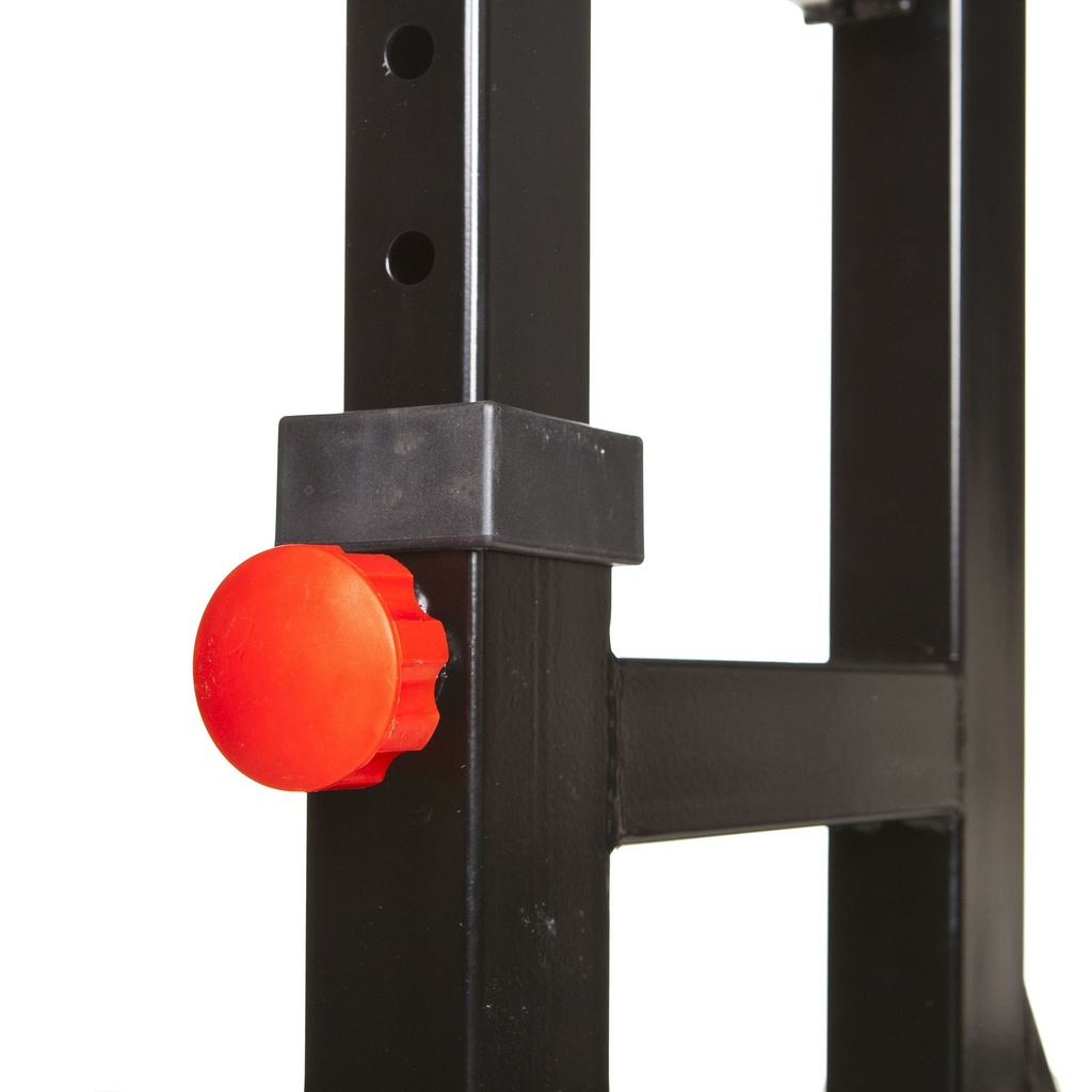 TF Squat Rack / Dip Stand Advanced