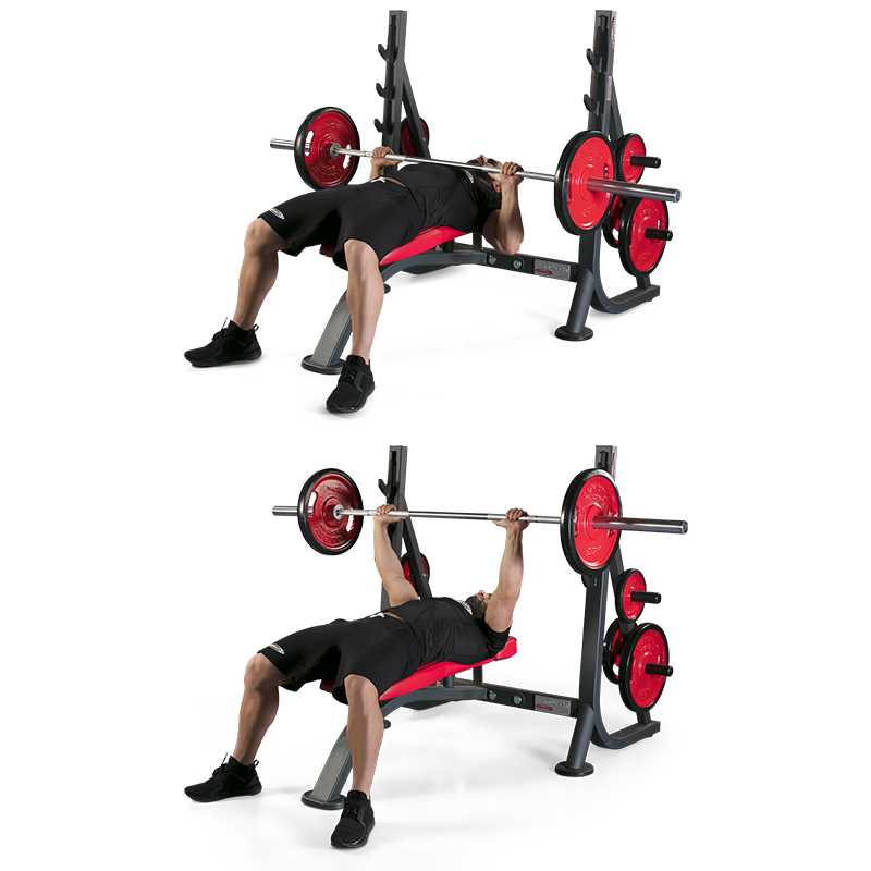 Panatta OLYMPIC FLAT BENCH