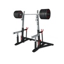 Panatta Powerlifting Combo Bench/ Squat