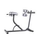 [1FE220] Panatta FIT EVO Iperextension Bench 