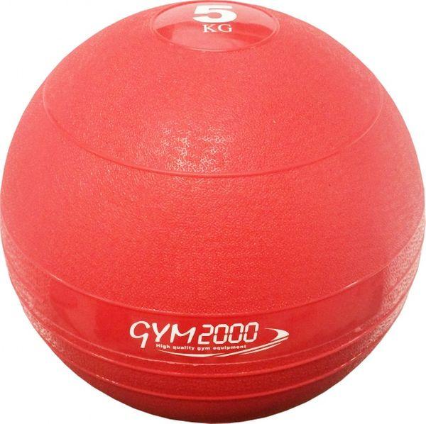 G2 Slam Ball 5kg