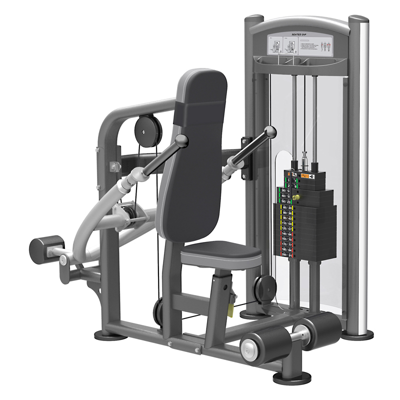 Impulse IT93 dips 200lbs vektmagasin