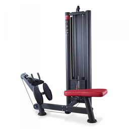 [1sc003] Panatta SEC Pulley Row 