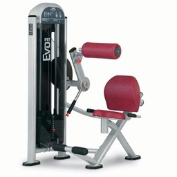 [1FE005] Panatta FIT EVO Lower Back Machine 