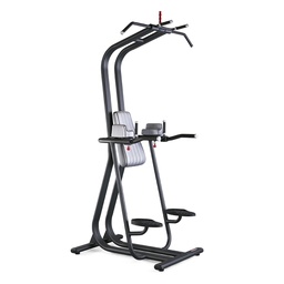 [1FE211] Panatta FIT EVO Chin and Dip 