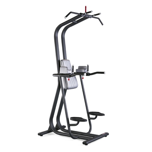 [1FE211] Panatta FIT EVO Chin and Dip 