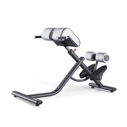 [1FE221] Panatta FIT EVO Iperextension 45 Bench 