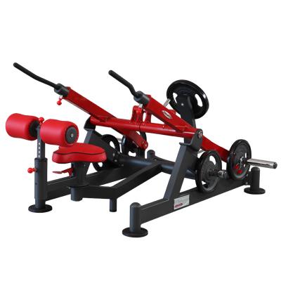 [1HP540] Panatta FW HP Dips Press Dual System 
