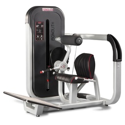 [1MTH005] Panatta Monolith Lower Back 