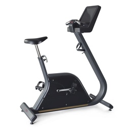 [1PP501A] Panatta Pininfarina Bike Gold Self Powered