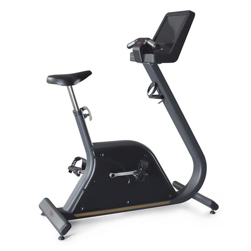 [1PP501A] Panatta Pininfarina Bike Gold Self Powered