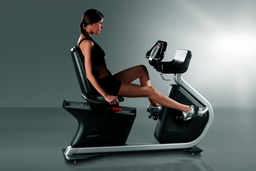[1PP502] Panatta Pininfarina Horizontal Bike Gold 
