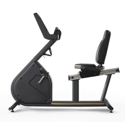 [1PP502A] Panatta Pininfarina Horizontal Bike Gold Self Powered