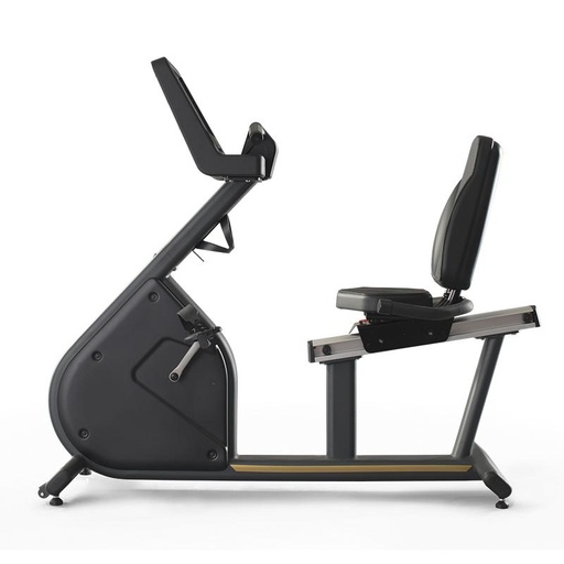[1PP502A] Panatta Pininfarina Horizontal Bike Gold Self Powered