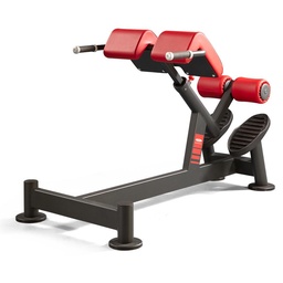 [1SC221] Panatta SEC Iperextension 45° bench 