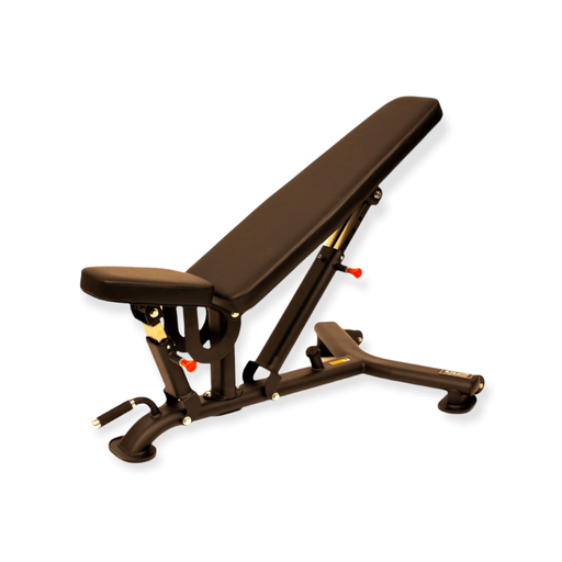 [53DR016] G2 FW Regulerbar benk