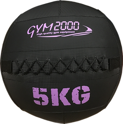 [54860] G2 Wall Ball 5kg Svart/Lilla