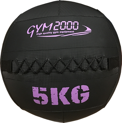 [54860] G2 Wall Ball 5kg Svart/Lilla