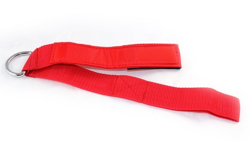 [D-IT-7004-017] Safety Belt 