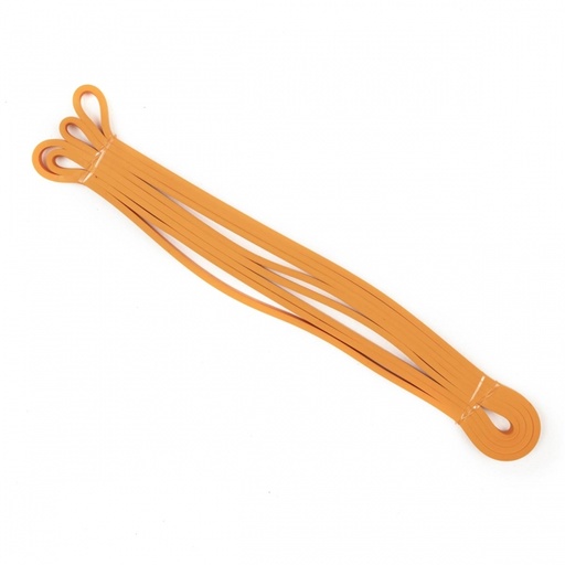 [IW100] IW100 Powerband 1-10kg