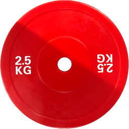 [54061] G2 Teknikkskive 2.5kg