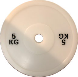 [54062] G2 Teknikkskive 5kg