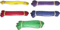 [IW100_5] G2 Powerband PAKKE Standard