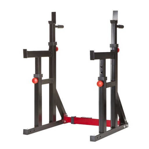[SQRDSNA] TF Squat Rack / Dip Stand Advanced